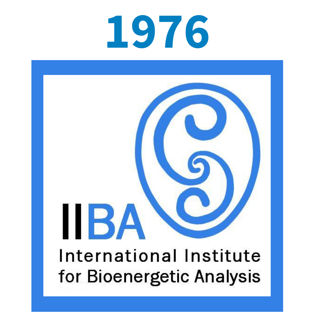 IIBA Logo Old 1976
