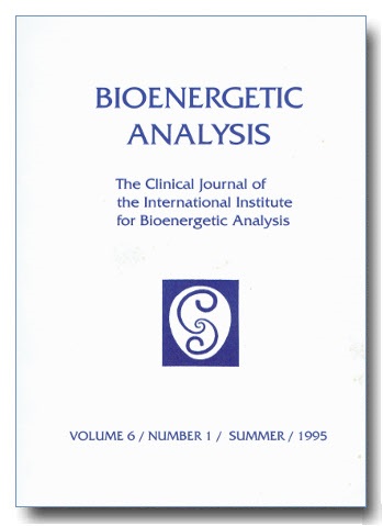 IIBA Journal - 6 - 1995 [EN]