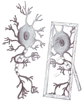 Mirror Neurons1 M